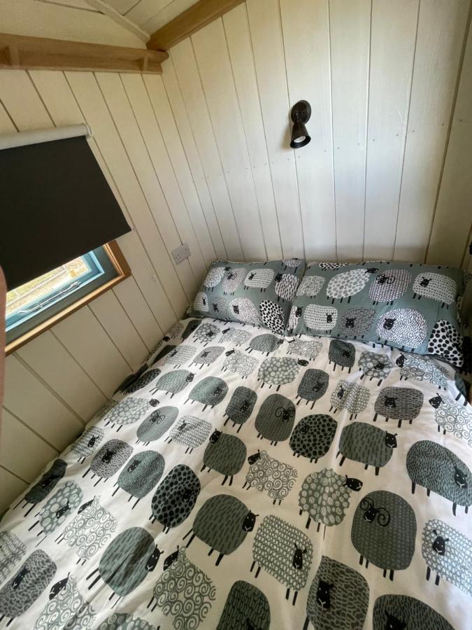 Apartmán The Shepards Hut Llwyn-Dafydd Exteriér fotografie